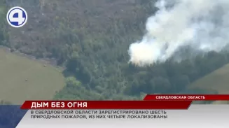 Более 100 га объято огнем в разных районах Свердловской области Более 100 га объято огнем в разных районах Свердловской области