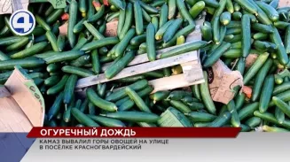 Огуречный дождь прошёл под Верхней Пышмой Огуречный дождь прошёл под Верхней Пышмой