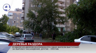 Яблони и клёны перессорили жителей одного двора в Екатеринбурге Яблони и клёны перессорили жителей одного двора в Екатеринбурге
