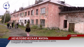 Жители поселка Северка вынуждены жить в нечеловеческих условиях Жители поселка Северка вынуждены жить в нечеловеческих условиях