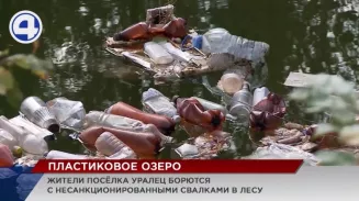 Жители посёлка Уралец борются с несанкционированными свалками в лесу Жители посёлка Уралец борются с несанкционированными свалками в лесу
