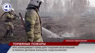 МЧС наращивает силы для тушения возгораний в районе деревни Большое Седельниково