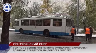 Свердловскую область неожиданно накрыл... первый снег Свердловскую область неожиданно накрыл... первый снег