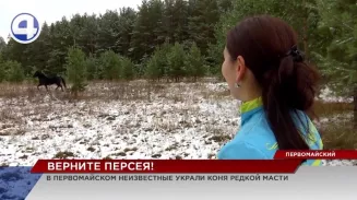 В посёлке Первомайский таинственно исчез конь редкой масти