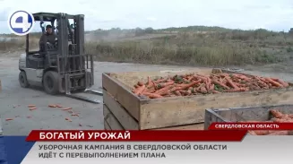Уборочная страда в Свердловской области идет с перевыполнением плана Уборочная страда в Свердловской области идет с перевыполнением плана
