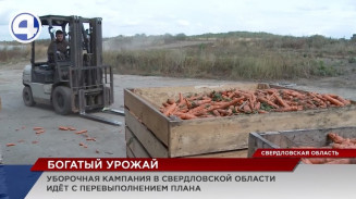 Уборочная страда в Свердловской области идет с перевыполнением плана Уборочная страда в Свердловской области идет с перевыполнением плана