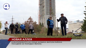 Новая аллея появилась в Екатеринбурге на улице Бардина Новая аллея появилась в Екатеринбурге на улице Бардина