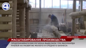 Долговечные детские площадки из белой акации могут появиться во дворах России Долговечные детские площадки из белой акации могут появиться во дворах России