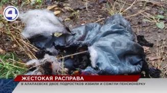 В Алапаевске двое подростков жестоко расправились с пожилой женщиной В Алапаевске двое подростков жестоко расправились с пожилой женщиной