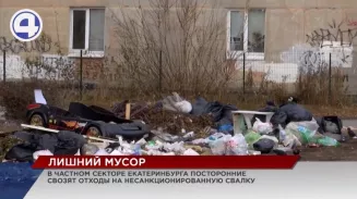 Жители частного сектора в Екатеринбурге тонут в мусорных завалах Жители частного сектора в Екатеринбурге тонут в мусорных завалах