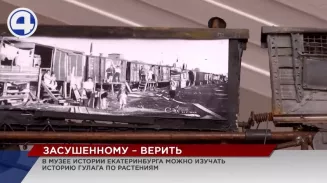 В Екатеринбурге открылась самая необычная выставка, посвящённая узникам ГУЛАГа В Екатеринбурге открылась самая необычная выставка, посвящённая узникам ГУЛАГа