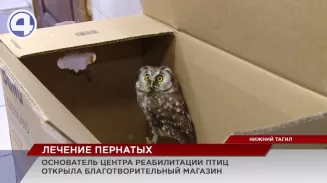 Благотворительный магазин открыли в Нижнем Тагиле волонтёры центра реабилитации птиц Благотворительный магазин открыли в Нижнем Тагиле волонтёры центра реабилитации птиц