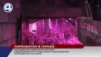 Предприимчивый житель Нижнего Тагила выращивал коноплю в арендованном гараже Предприимчивый житель Нижнего Тагила выращивал коноплю в арендованном гараже