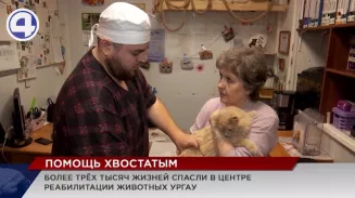 Более 3000 больных и искалеченных животных спасли в центре реабилитации УрГАУ в Екатеринбурге Более 3000 больных и искалеченных животных спасли в центре реабилитации УрГАУ в Екатеринбурге