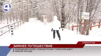 Чем заняться в Оленьих ручьях зимой, как правильно кормить синичек и в какой части парка искать экстрим? Чем заняться в Оленьих ручьях зимой, как правильно кормить синичек и в какой части парка искать экстрим?