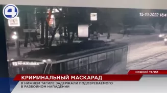 В Нижнем Тагиле задержали грабителя, маскировавшегося под блондинку в розовом пуховике В Нижнем Тагиле задержали грабителя, маскировавшегося под блондинку в розовом пуховике