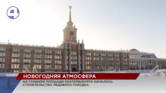 В этом году на главной площади уральской столицы установят живую 28-метровую ель В этом году на главной площади уральской столицы установят живую 28-метровую ель
