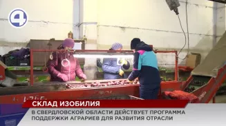 В современных овощехранилищах – урожай, словно, только с поля, даже в декабре