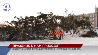 На главную площадь Екатеринбурга впервые за много лет доставили живую ель