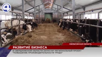 В Свердловской области запустят региональный проект «Повышение производительности труда»