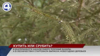 В городах Свердловской области открылись ёлочные базары В городах Свердловской области открылись ёлочные базары
