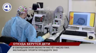 В этом году количество пар, которые прошли процедуру ЭКО, выросло на 7 процентов В этом году количество пар, которые прошли процедуру ЭКО, выросло на 7 процентов