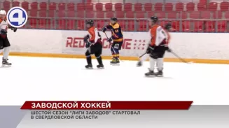 Шестой сезон «Лиги заводов» стартовал в Свердловской области Шестой сезон «Лиги заводов» стартовал в Свердловской области