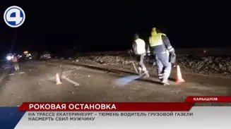 На трассе Екатеринбург – Тюмень вышедшего из машины водителя насмерть сбила «Газель» На трассе Екатеринбург – Тюмень вышедшего из машины водителя насмерть сбила «Газель»