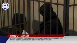 За расправу над двумя сыновьями и дочерью матери детей грозит до 20 лет лишения свободы За расправу над двумя сыновьями и дочерью матери детей грозит до 20 лет лишения свободы