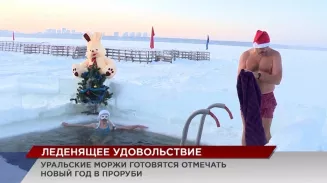 Уральские моржи готовятся отмечать Новый год в проруби Уральские моржи готовятся отмечать Новый год в проруби