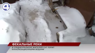 Зловонные реки топят садовые участки Среднеуральска Зловонные реки топят садовые участки Среднеуральска
