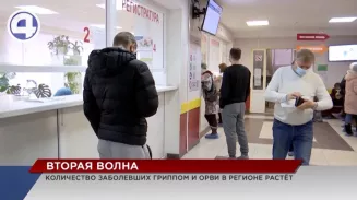 Второй волны гриппа на Урале – не избежать! Второй волны гриппа на Урале – не избежать!