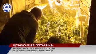 9 лет строгого режима получил житель Екатеринбурга за… увлечение ботаникой 9 лет строгого режима получил житель Екатеринбурга за… увлечение ботаникой