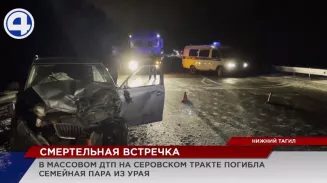 В страшном ДТП на Серовском тракте не пострадала только кошка В страшном ДТП на Серовском тракте не пострадала только кошка