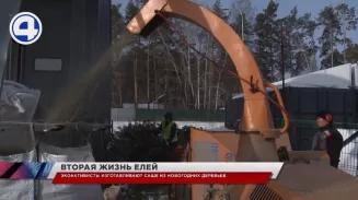 Переработка новогодних елей стартовала на площадке мусорного хаба в Екатеринбурге