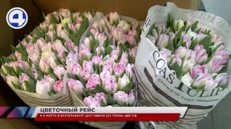 233 тонны цветов доставили в столицу Урала в преддверии Международного женского дня 233 тонны цветов доставили в столицу Урала в преддверии Международного женского дня