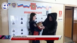 Полицейские Режа изъяли кота, который стал звездой YouTube Полицейские Режа изъяли кота, который стал звездой YouTube