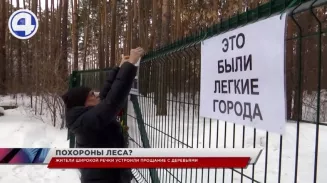 На Широкой Речке в Екатеринбурге экоактивисты решили похоронить лес На Широкой Речке в Екатеринбурге экоактивисты решили похоронить лес