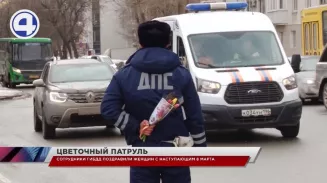 Автоледи Екатеринбурга радовались, когда их останавливали на дороге инспекторы ГИБДД Автоледи Екатеринбурга радовались, когда их останавливали на дороге инспекторы ГИБДД
