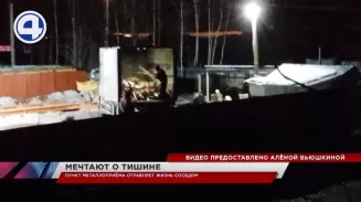 Садоводы одного СНТ в Екатеринбурге теперь вместо птичек слушают лишь лязг железа