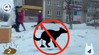 С таянием снега екатеринбуржцы стали жаловаться на собачьи отходы, которыми щедро усеяны дворы и парки С таянием снега екатеринбуржцы стали жаловаться на собачьи отходы, которыми щедро усеяны дворы и парки