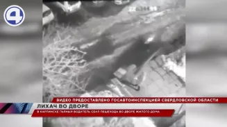 В Карпинске пьяный водитель на большой скорости сбил пешехода прямо во дворе жилого дома В Карпинске пьяный водитель на большой скорости сбил пешехода прямо во дворе жилого дома