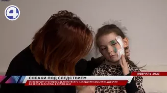 СК возбудил уголовное дело по факту нападения собаки на 6-летнюю девочку во время экскурсии в питомнике хаски СК возбудил уголовное дело по факту нападения собаки на 6-летнюю девочку во время экскурсии в питомнике хаски