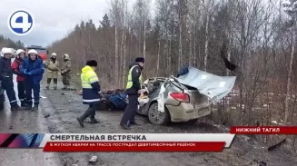 В жуткой аварии под Нижним Тагилом водитель легковушки влетел в грузовик и погиб на месте В жуткой аварии под Нижним Тагилом водитель легковушки влетел в грузовик и погиб на месте
