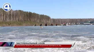 Несмотря на запрет, екатеринбургские любители зимней рыбалки продолжают выходить на лёд