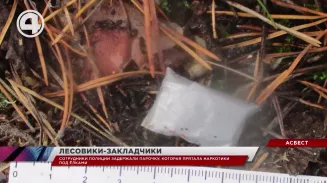 В Асбесте сотрудники полиции задержали парочку, которая делала закладки под ёлочками и берёзками В Асбесте сотрудники полиции задержали парочку, которая делала закладки под ёлочками и берёзками