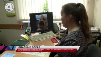 Одному из клиентов груминг-салона в Нижнем Тагиле стало плохо прямо во время стрижки Одному из клиентов груминг-салона в Нижнем Тагиле стало плохо прямо во время стрижки