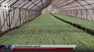 На Среднем Урале полным ходом идёт подготовка к посевной На Среднем Урале полным ходом идёт подготовка к посевной