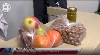 Таможенники напомнили правила ввоза продуктов и сувениров из-за границы Таможенники напомнили правила ввоза продуктов и сувениров из-за границы