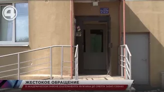 В Академическом районе Екатеринбурга мужчина до смерти забил собаку В Академическом районе Екатеринбурга мужчина до смерти забил собаку